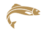 Morgans